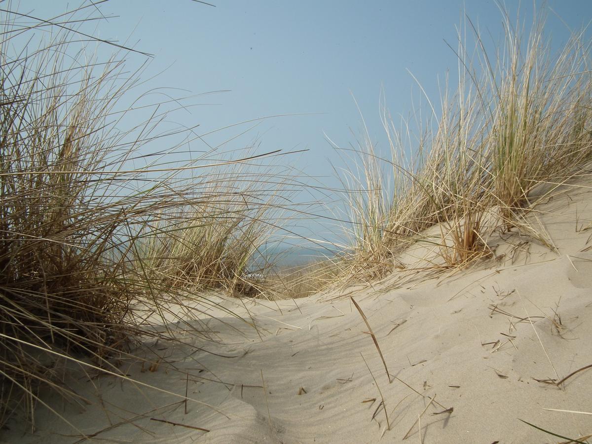 Hollumerstrand ホルム エクステリア 写真